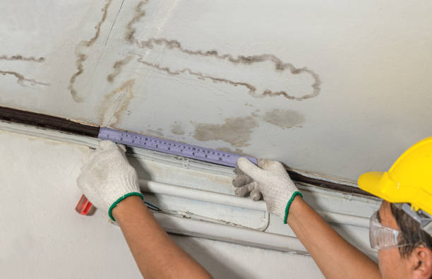 Reliable Water Damage Repair contractor in Missouri, MO by Hirex Water Damage